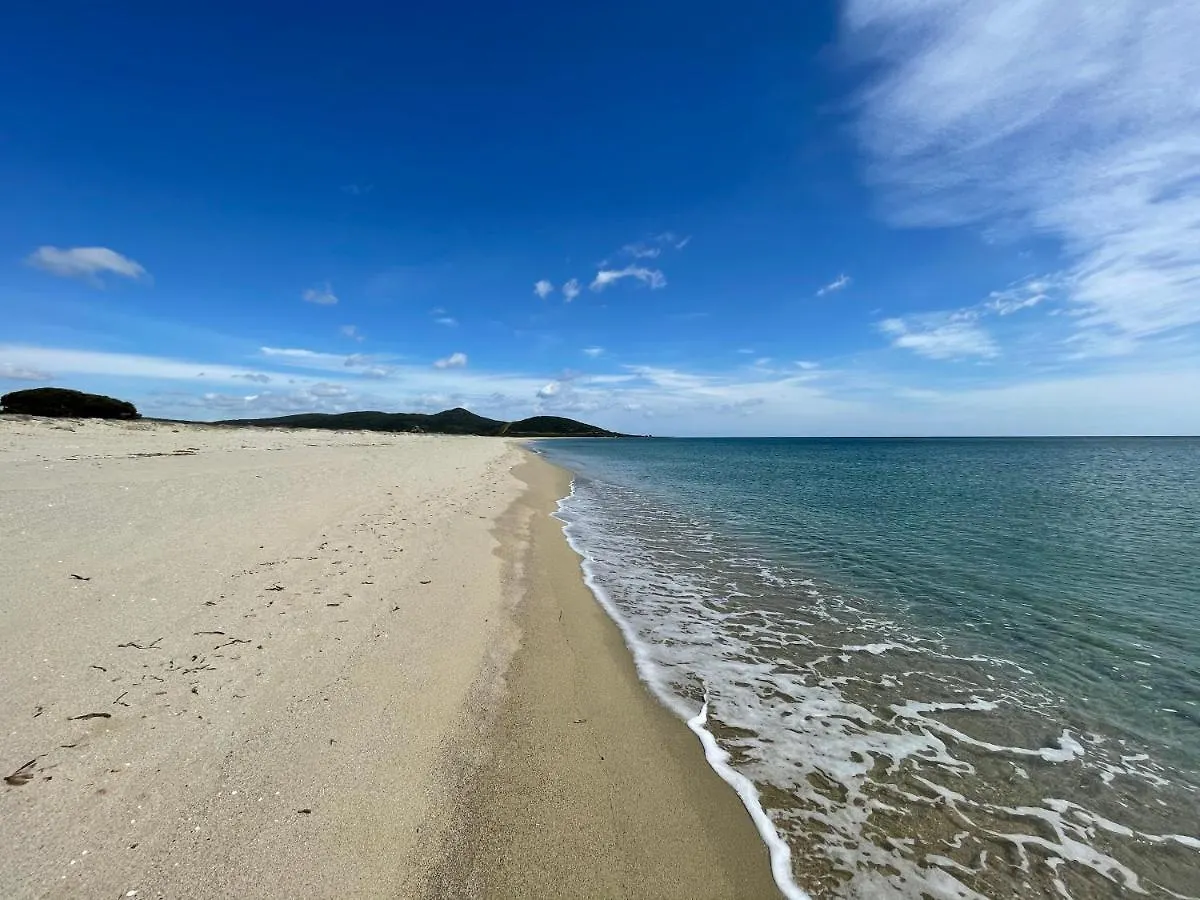 Casa Vacanze Il Fico - Posada Italien
